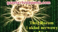 Twój RozumMózg i Układ Nerwowy to nie Ty!!!