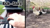 Steves Lava Chicken Song Remix #minecraftmovie #minecraftsong #lavachicken #usethisaudio