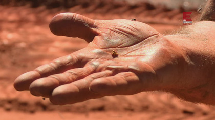 Australijscy poszukiwacze złota S06E07 Lektor PL