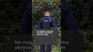 Co się wydarzyło w Gańsku Oliwie?