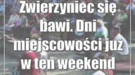 Zwierzyniec się bawi.  Dni miejscowości już w ten weekend