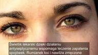 Zmęczone i chore oczy? Sprawdź najlepsze zioła (świetlik lekarski, rumianek, chaber)