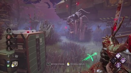 CZY NAPRAWDĘ GRAŁEM NA CHEATERA?? [DEAD BY DAYLIGHT]