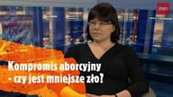 K. Godek | Czy kompromis aborcyjny to najlepsze co udało się wypracować?