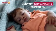 TVP 1 Poland [12.11.2024] - Continuity