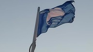Flaga Wyspy Sobieszewskiej
