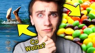 CO WOLISZ? | #3