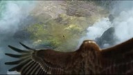 Mulan (2020) but its only Xian as hawk scenes