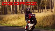 dzordz 2004