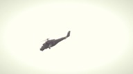 nasza-armia.pl - 242