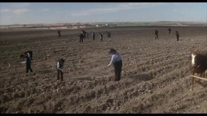 Śmiertelne Błogosławieństwo (Deadly Blessing) 1981 napisy wgrane