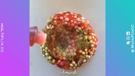AWESOME Satisfying Diy films Big Collection (3778 LVL)