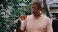 Piekło Pacifiku 1979.pl (CD2)