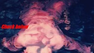download zip album, album mp3 download, leak album download, leaked download,Pink Feet Lily of the V