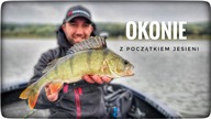 OKONIE z początkiem jesieni // 2024