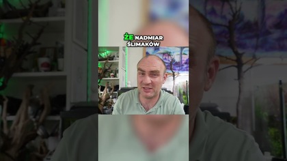 Zatoczki są bardzo zadowolone 