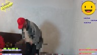  █▬█ █ ▀█▀ Bystrzak TV - Esta pokazuje swojego Bydlaka na live :) Esta pokazuje że się nie zlał :)(C
