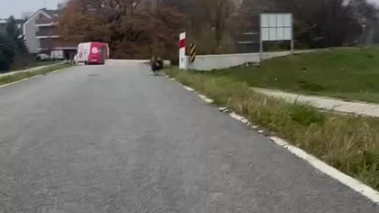 Zaczekaj, już idę.