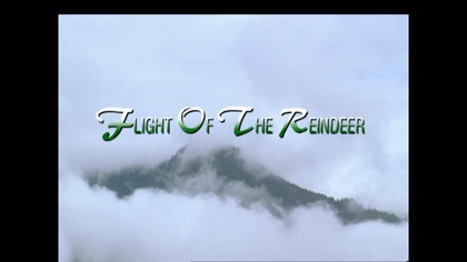 Renifery Świętego Mikołaja.  lektor