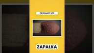To naprawdę MEGA TRUDNE WYZWANIE  #shorts #viral #quiz