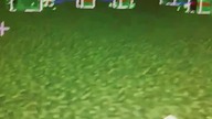ukryta zec w hidboxah w minrcraft