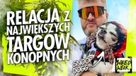 NAJSZYBSZA RELACJA Z NAJWIĘKSZYCH TARGÓW KONOPNYCH W PL