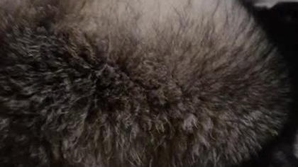 Co zrobić gdy silnik nie chce odpalić #cat