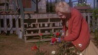 Sierpniowe wieloryby - The Whales of August [1987] 720p. AC3. BDRip. x264.  LEKTOR PL