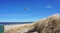 Top 10 największych miast w Polsce pod względem powierzchni