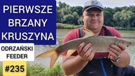 235 PIERWSZE BRZANY KRUSZYNA - ODRZAŃSKI FEEDER