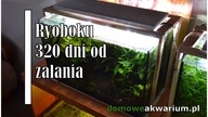 Ryoboku 320 dni od zalania