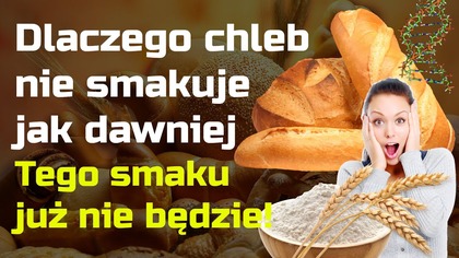 Dlaczego chleb nie smakuje jak dawniej