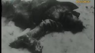 Gorlice 1915 r.  Dokument