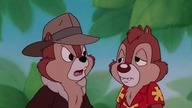 Chip i Dale Brygada RR odc.  53 Najlepsze danie