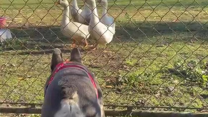 3608c8d2-0804-45d0-b7d9-2438015f2acb