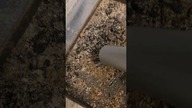 Separator popiołu #ogrzewaniedomu #kominek #popiòł #diy