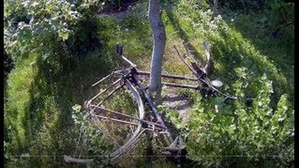 Odc-684-Proszek na mrówki a rośliny ? Czy można podlewać rośliny w skwar,gorąc,upał,trympal.