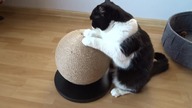 Kocia bombka :)