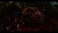 Hellraiser: Wysłannik piekieł (1987) ang