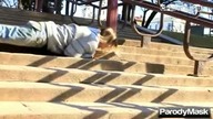 Jackass po rosyjsku 4