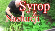 Syrop z nasturcji.  Ból gardła, migdałków.