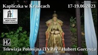 Kapliczka w Krasicach