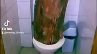 KTOŚ POSTAWIŁ KLOCKA