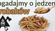 Live o jedzeniu robaków