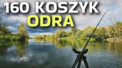 617 ODRA RWIE NA 160 GRAMÓW - INNE RYBY PONIŻEJ RZEKI