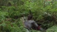 Zaginiony świat /The Lost World (1999)S01E16 Lektor