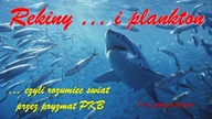 Rekiny i ...  plankton