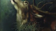 Lascar - Absence (Full Album)