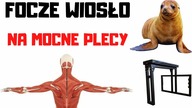 ŚWIETNE ĆWICZENIE na WYRZEŻBIONE PLECY  FOCZE WIOSŁO !