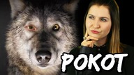 Pokot (Agnieszka Holland) - recenzja - TYLKO W KINIE